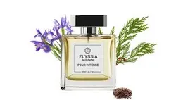 BRAND_CATEGORY_PERFUME__MISTRY ENTERPRISE