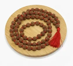 Rudraksha_Rudraksha_Mala__Rudrajoy – Central India’s Most Authentic Gemstone & Rudraksha Brand