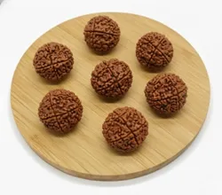 Rudraksha_Rudraksha_Beads__Rudrajoy – Central India’s Most Authentic Gemstone & Rudraksha Brand