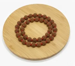 Rudraksha_Rudraksha_Braclet__Rudrajoy – Central India’s Most Authentic Gemstone & Rudraksha Brand