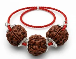 Rudraksha_Rudraksh_Combination__Rudrajoy – Central India’s Most Authentic Gemstone & Rudraksha Brand