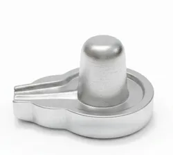 Parad_Idols__Rudrajoy – Central India’s Most Authentic Gemstone & Rudraksha Brand