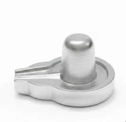 Parad_Idols__Rudrajoy – Central India’s Most Authentic Gemstone & Rudraksha Brand