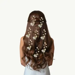 SHOP_BY_CATEGORY_HAIR_CLIP__AccessoZone