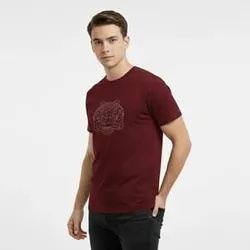 SHOP_BY_CATEGORY_T_SHIRT__Cottoz