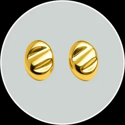 SHOP_BY_CATEGORY_EARRINGS__Ziwels 