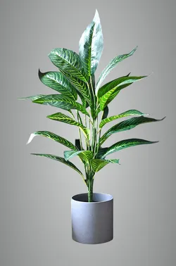 SHOP_BY_CATEGORY_Artificial_Plants__Store Name