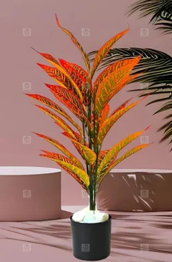 OUR_COLLECTIONS_HOME_DECOR__Shaktism