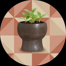 SHOP_BY_CATEGORY_ARBOR_CRAFT__TurtleTales