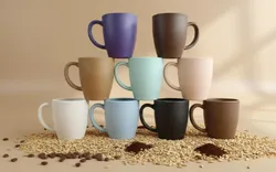 SHOP_BY_CATEGORY_BEST_SELLERS__TurtleTales: Sustainable & Reusable Products