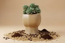 SHOP_BY_CATEGORY_ARBOR_CRAFT__TurtleTales: Sustainable & Reusable Products