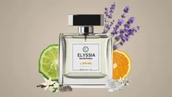OUR_COLLECTION_SHOP_NOW__ELYSSIA PERFUMES