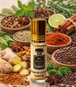 SHOP_BY_CATEGORY_NEW_ARRIVALS__Bin Rashid