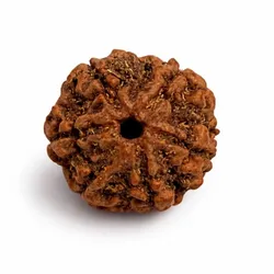 SHOP_BY_CATEGORY_RUDRAKSHA__Rk Stores