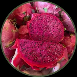 SHOP_BY_CATEGORY_FRUIT_PLANTS__Pb Plant