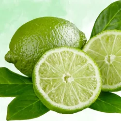 SHOP_BY_NOTES_Fruity__Venus Maris