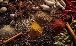 SHOP_BY_CATEGORY_SPICES__Dharamyog