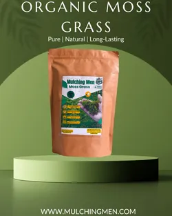 SHOP_BY_CATEGORY_Ornamental_And_Shade_Trees__Mulching Men