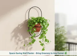 SHOP_BY_CATEGORY_Hanging_Planters__Nivirescent