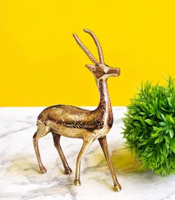 SHOP_BY_CATEGORY_SHOWPIECES__Starlike