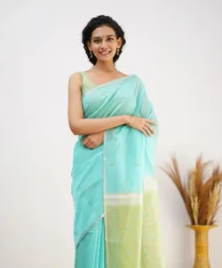 SHOP_BY_CATEGORY_organza_saree__RIWAAZRANG