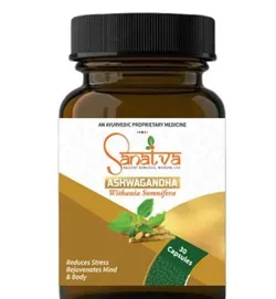 SHOP_BY_CATEGORY_IMMUNITY_BOOSTER__Sanatva