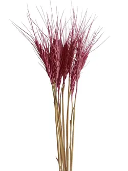 SHOP_BY_CATEGORY_ALL_PRODUCTS__Nativa