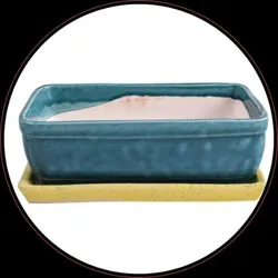 SHOP_BY_CATEGORY_CROCKERY__Lasaki