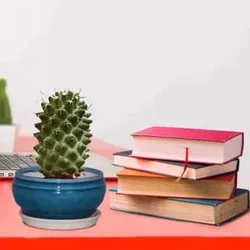 SHOP_BY_CATEGORY_MINIATURE__Lasaki