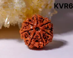 SHOP_BY_CATEGORY_Rudraksha_Items__Kareion Vasstu