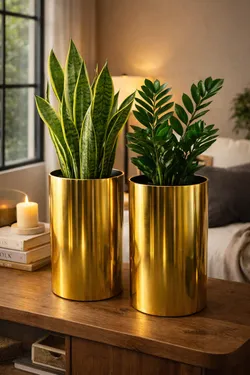 SHOP_BY_CATEGORY_Plant_Bowl__Auromacraft