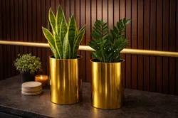 SHOP_BY_CATEGORY_Planter__Entice India - Phoenix IT Global