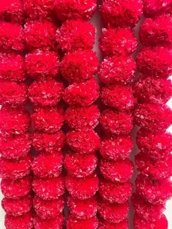 SHOP_BY_CATEGORY_MARIGOLD_GARLANDS__HomeTech Retail