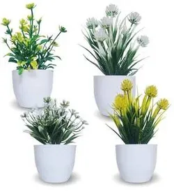 SHOP_BY_CATEGORY_ALL_PRODUCTS__Floraplanet