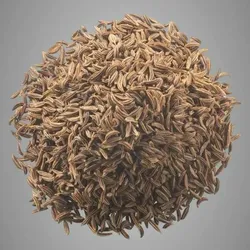 SHOP_BY_CATEGORY_SPICES__POWDERS___DesiCartBazzar