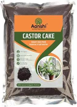 SHOP_BY_CATEGORY_NEW_ARRIVALS__Aanshi 