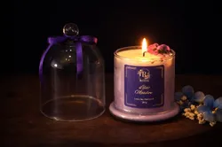 SHOP_BY_CATEGORY_BELL_JAR_CANDLES__Riveya