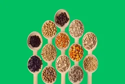 BRAND_CATEGORY_EDIBLE_SEEDS__Trivang