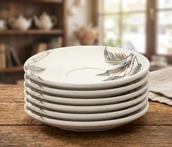 SHOP_BY_CATEGORY_SAUCERS__FIZA