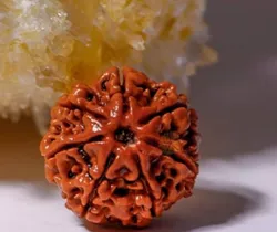 SHOP_BY_CATEGORY_RUDRAKSH__SHARDA GEM STONE