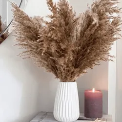 SHOP_BY_CATEGORY_Dried_Flowers__Artecasa