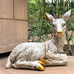 SHOP_BY_CATEGORY_Showpieces__Kraftsun