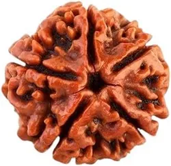 SHOP_BY_CATEGORY_RUDRAKSHA_ITEMS__Dharmstambh