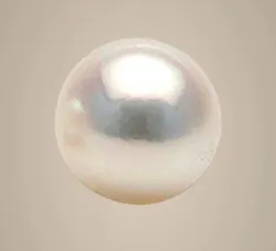 SHOP_BY_CATEGORY_ALL_PRODUCTS__Dharmstambh