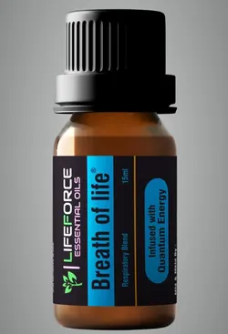 SHOP_BY_CATEGORY_ALL_PRODUCTS__Vedic Sampada