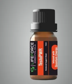 SHOP_BY_CATEGORY_NEW_ARRIVALS__Vedic Sampada