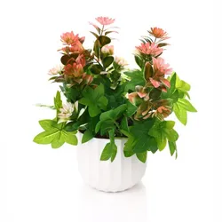 SHOP_BY_CATEGORY__ALL_PRODUCTS__Greenzy