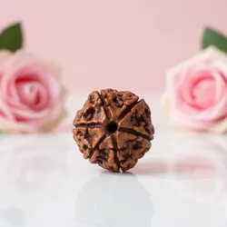 SHOP_BY_CATEGORY_RUDRAKSHA_ITEMS__Gemoline