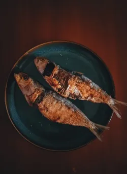 SHOP_BY_CATEGORY_WHOLE_PREY__Game of Bones