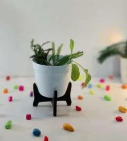 SHOP_BY_CATEGORY_Plant_Stand__Allotrope